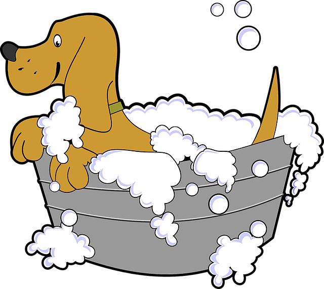 Washing-Pets